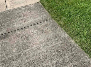 Ashley C.'s lawn maintenance service result