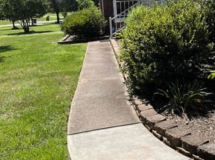 Melanie B.'s grass maintenance service result