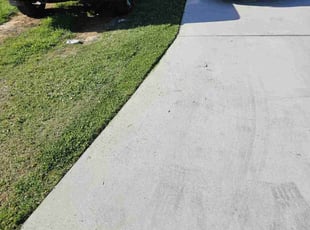 Caitlin L.'s lawn care service result