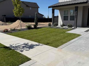 Leisha P.'s grass cutting service result