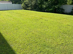 Matthew D.'s turf care service result