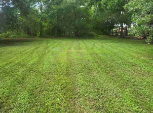 Dennis T.'s grass maintenance service result