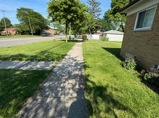 Lanetra P.'s lawn service service result