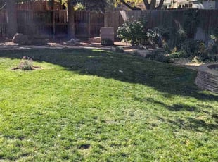 Rose G.'s lawn care services service result