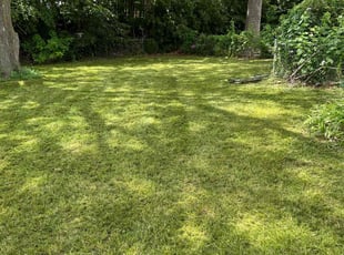 Lc B.'s lawn maintenance service result