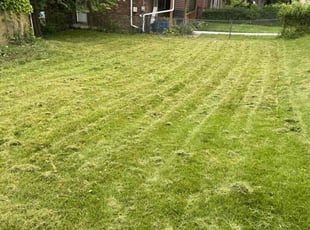 Jeremy D.'s lawn care services service result
