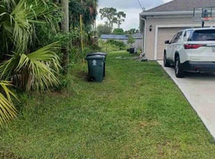 Susan K.'s turf care service result