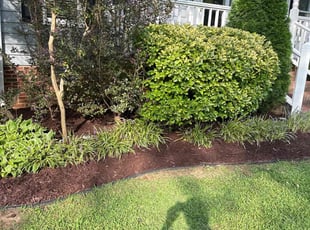 Lisa V.'s Landscaping service result