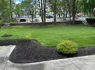 Ronald L.'s lawn maintenance service result