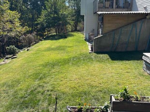 Blake A.'s lawn maintenance service result