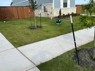 Karen L.'s turf care service result