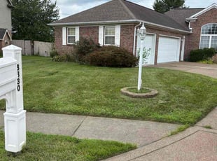 Eric H.'s lawn maintenance service result
