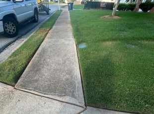Stephan K.'s grass cutting service result