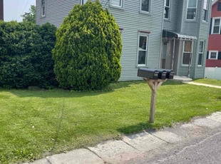 Emily F.'s grass cutting service result