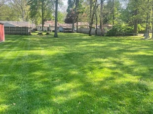 Linda B.'s lawn care services service result