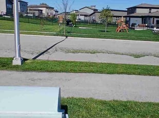 George L.'s grass cutting service result