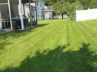 George S.'s lawn service service result