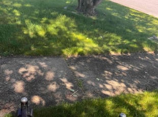 Arpit P.'s lawn service service result