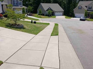 Marijke P.'s lawn care service result