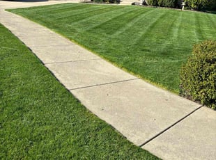 William C.'s lawn maintenance service result