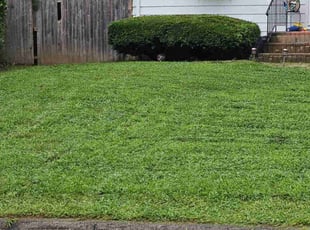 Jacqueline F.'s Bush Trimming service result