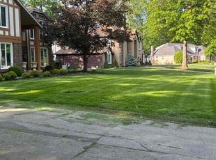 Cheryl G.'s lawn care services service result