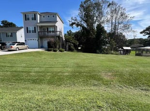 Vanessa H.'s lawn care services service result