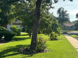 Miguel M.'s turf maintenance service result