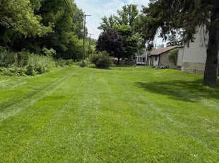 Joe W.'s turf care service result