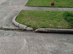 Jimmie S.'s turf maintenance service result