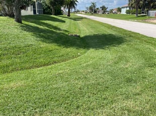 Jeremy R.'s lawn care service result