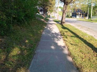 Denise F.'s lawn service service result
