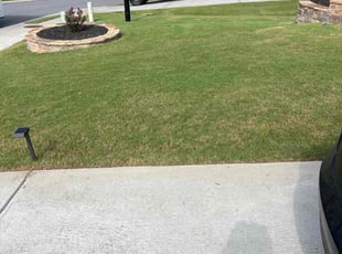 Tim P.'s turf care service result