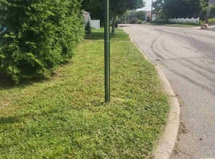 Kareem A.'s lawn service service result