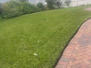 Deborah L.'s grass cutting service result