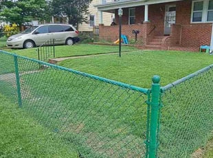 Linda W.'s lawn care service result
