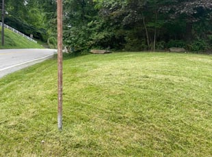Philip G.'s turf maintenance service result