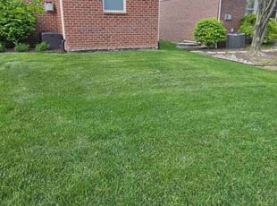 Donna B.'s turf maintenance service result