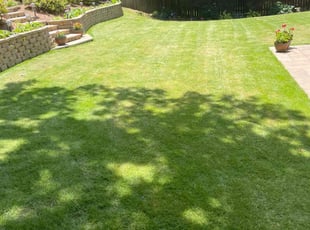 Dustin S.'s grass cutting service result