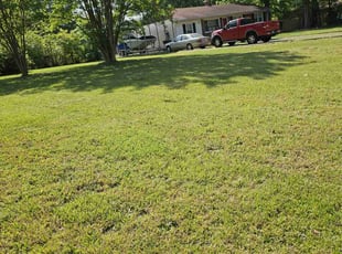 Marian D.'s turf care service result