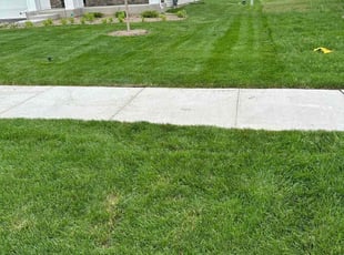 Jennifer B.'s turf maintenance service result
