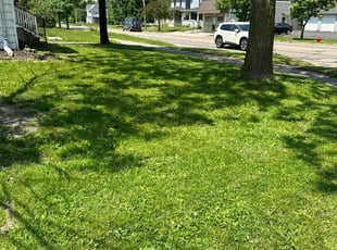 Montell G.'s grass maintenance service result