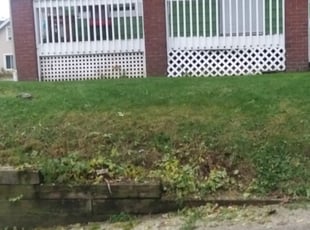 John C.'s Bush Trimming service result