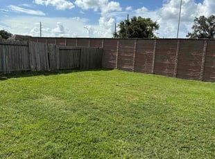 Sylvia S.'s turf care service result