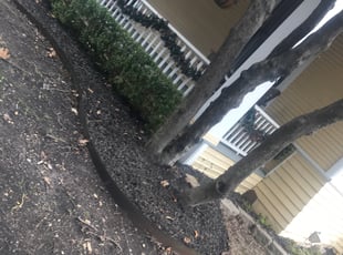 Moses M.'s Bush Trimming service result