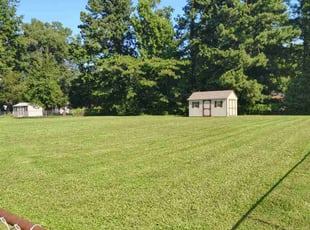 Elizabeth P.'s turf maintenance service result