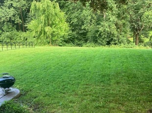 Tyler T.'s grass cutting service result