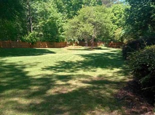 Corey L.'s grass cutting service result