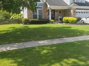 Pat W.'s grass maintenance service result