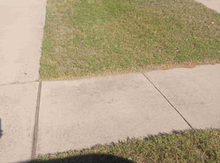 Brandon S.'s lawn care services service result